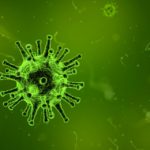 The “mechanics” of how bacteria divide explained in new study