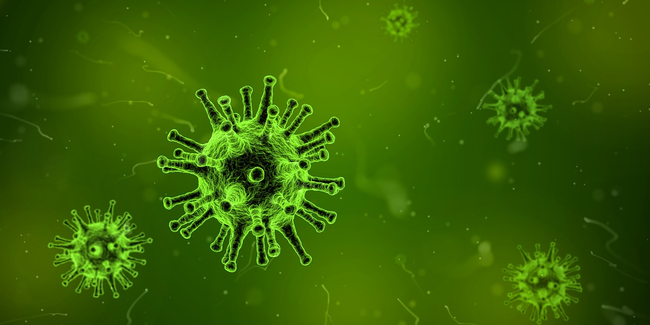 The “mechanics” of how bacteria divide explained in new study