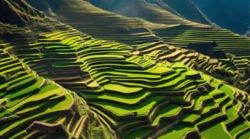 ancient agricultural innovation sustained populations