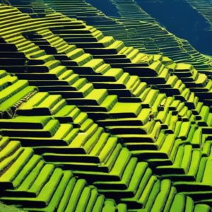 ancient agricultural methods effective today