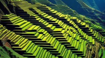 ancient agricultural methods effective today