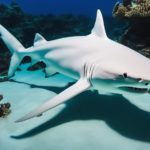 Albino Cyclops Shark Explained: How Rare It Is